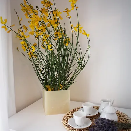 Bed & Breakfast 22 Garibaldi 4*