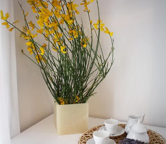 فندق مبيت وإفطار 22 Garibaldi 4*